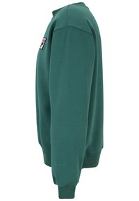 Felpa verde a maniche lunghe con polsini e orlo a coste, piccolo logo Fila ricamato vicino al polso e una toppa sulla parte superiore del petto.