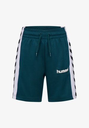 Teal sports shorts med elastisk talje, snøre og sorte og hvide sidepaneler med zigzagmønster; logo foran.