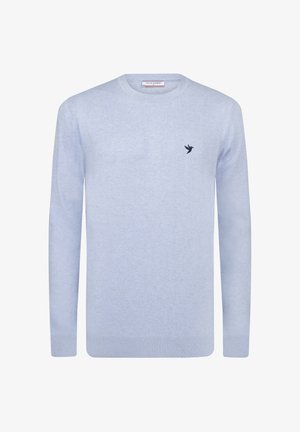 Helles blaues Sweatshirt aus weichem Stoff, mit langen Ärmeln und Rundhalsausschnitt. Kleines, marineblaues Vogel-Logo auf der linken Brust.