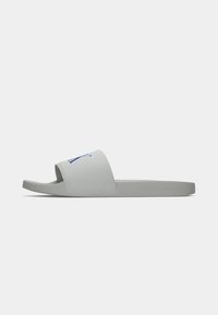 Non sélectionné, oyster mushroom/pilgrim blue
