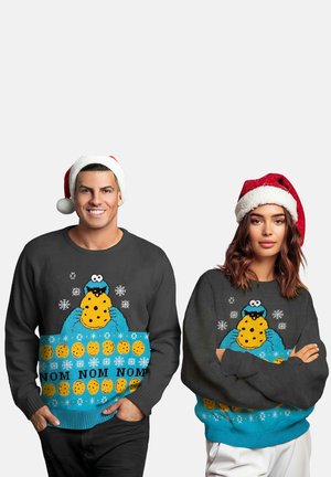 WINTER - KRÜMELMONSTER UGLY - Jumper - grau