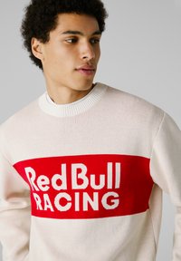 Junger Mann, der nach rechts schaut und einen cremefarbenen Pullover mit einem roten Block trägt, auf dem der Text "Red Bull Racing" zu sehen ist.