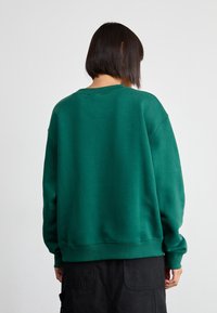 Sweatshirt verde, collo rotondo, maniche lunghe, vestibilità comoda, realizzato in tessuto morbido, superficie testurizzata, orlo e polsini a costine. Design posteriore semplice.