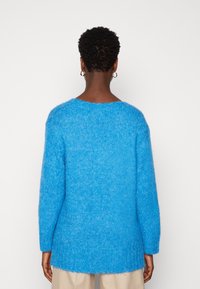 Persona con capelli ricci e corti, che indossa orecchini a cerchio d'oro e un vivace maglione di maglia pelosa blu, vista da dietro su uno sfondo semplice.