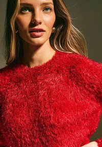 Pull rouge en peluche avec un matériau texturé et duveteux et un col rond. Le tissu semble doux et chaud, adapté aux temps frais.