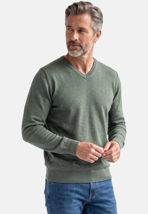 Mann mit grauen Haaren und Bart, der einen grünen V-Ausschnitt-Pullover und blaue Jeans trägt, schaut zur Seite, die Hände vor sich verschränkt.