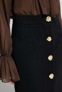 Černá tužková sukně s pozlacenými knoflíky ve tvaru lví hlavy, bočními kapsami a páskem v pase. Kombinována s průsvitnou hnědou halenou s volánovými rukávy.