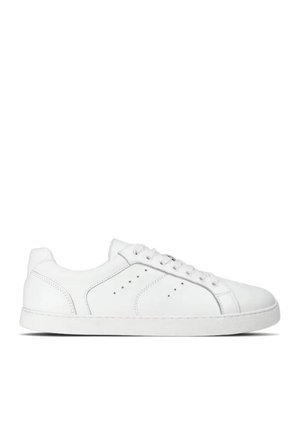 Sneaker bianca low-top con chiusura a lacci, dettagli laterali traforati e suola piatta in gomma su sfondo semplice.