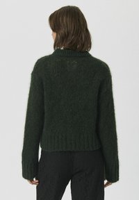 Grüner gestrickter Pullover mit lockerem Sitz, geripptem Saum und langen Ärmeln. Hergestellt aus einem flauschigen Material mit weicher Textur.