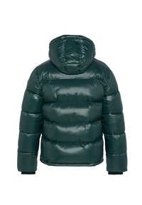 Chaqueta acolchada verde con un exterior brillante, capucha, puños elásticos y un patrón acolchado. Aislamiento grueso con una forma trasera redondeada.