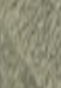 La imagen está demasiado borrosa para identificar elementos visuales y proporcionar una descripción de texto alternativo precisa.