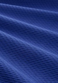 TOM TAILOR DENIM STRUCTURED - Sweatshirt - anemone blue