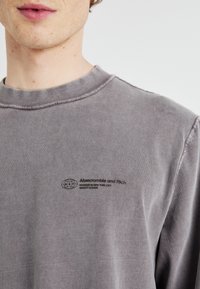 Abercrombie & Fitch PREMIUM VINTAGE BLANK CROP LOGO   - Hosszú ujjú felső - volcanic ash acid wash