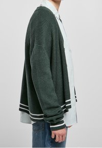 Cardigan verde lavorato a maglia con una vestibilità comoda, caratterizzato da dettagli a righe bianche all'orlo e ai polsini, indossato sopra una camicia a righe blu chiaro.
