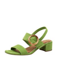 Sandal in suede verde con punta aperta, due cinturini larghi, cinturino alla caviglia e un dettaglio rotondo in tonalità oro sul davanti. Design con tacco quadrato.