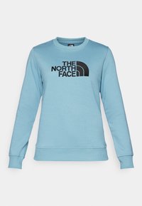 Felpa a manica lunga azzurro chiaro con il logo nero "THE NORTH FACE" centrato sul petto, polsini a costine, orlo e colletto a girocollo.