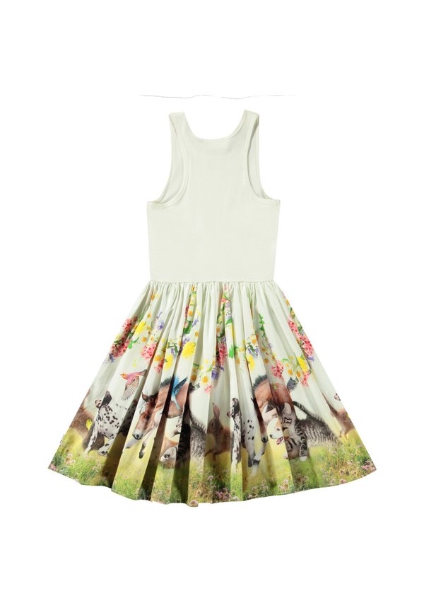 CASSANDRA - Day dress2