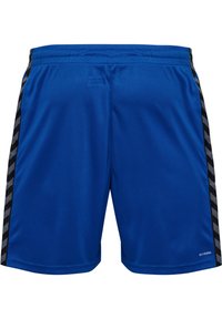 Pantalones cortos deportivos azules hechos de una tela suave, con rayas negras y grises en los lados. Cintura elástica para mayor comodidad.