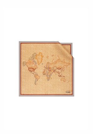 GEO CLASSIC 3170 ALOE - Sciarpa - grey