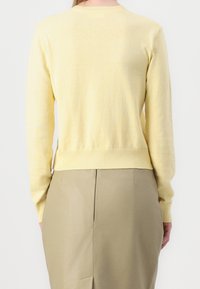 Light yellow knitted sweater with long sleeves and a round neckline. Ribbed hem, smooth texture, and fitted silhouette.