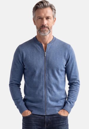Middelbare man met grijs haar en baard draagt een blauw vest met rits en donkere spijkerbroek, staand met handen in de zakken tegen een effen achtergrond.