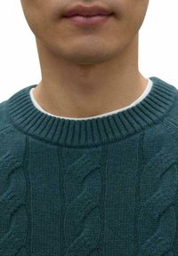 Suéter de punto trenzado en verde oscuro con un cuello redondo acanalado, que presenta patrones texturizados y un forro interno de contraste.