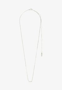 Pasirinkta, silver