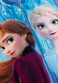 Felpa con zip in pile che presenta Anna ed Elsa di Frozen. Sfondo azzurro chiaro, tratti facciali dettagliati, capelli scuri e chiari, colori vivaci nei vestiti.