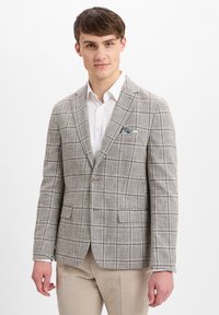 Grijze geruite blazer van textuurstof, met twee knopen, geknoopte revers, zak met een patroonzakdoek en zijzakken.