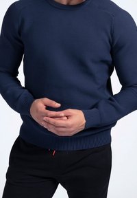 Maglione lavorato a maglia blu navy con scollatura a girocollo, polsini e orlo a coste, caratterizzato da motivi testurizzati sulle spalle e una vestibilità aderente.