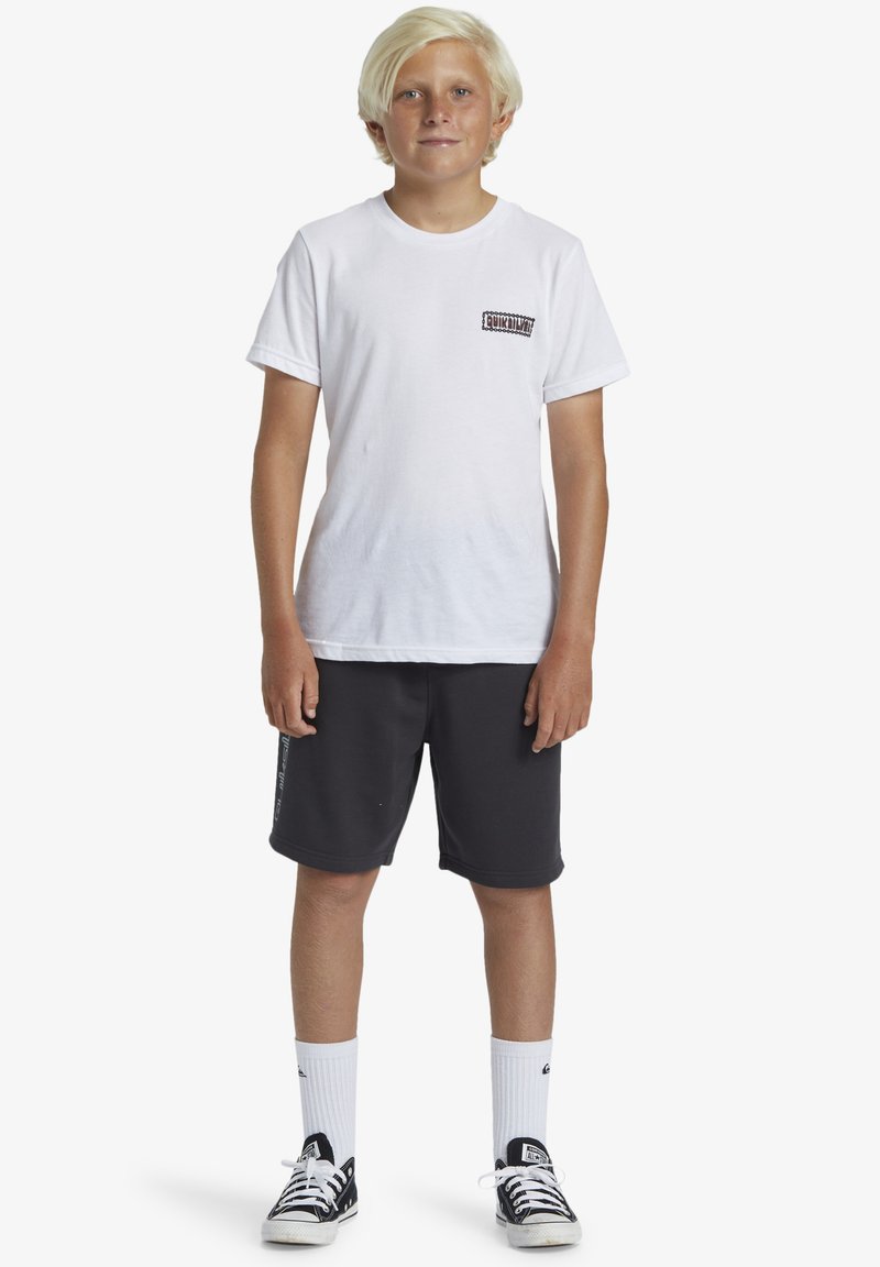 Quiksilver TAKE US BACK - Shorts - kta