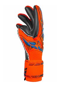 Goalkeeper glove with an orange textile body, black latex palm, and blue accents. Features textured grip and elastic wristband for fit.