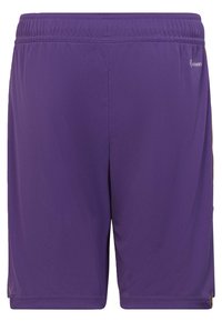 Lila Sportshorts aus leichtem Stoff, mit elastischem Bund, einer glatten Textur und ohne sichtbare Muster oder Akzente.