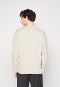 Felpa beige con maniche lunghe e orlo a coste. Realizzata in un tessuto morbido. La vista posteriore mostra un classico collo a giro e una vestibilità rilassata.