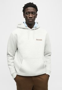 Jeune homme portant un sweat à capuche Dickies gris clair par-dessus une chemise à rayures bleues, les mains dans les poches d'un pantalon marron, devant un fond uni.