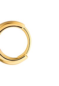 Gold-tone metal hoop earring featuring a curved design with a seamless closure and a polished surface, emphasizing smooth lines and clean edges.