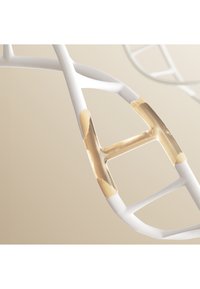 Witte gebogen structuur met gouden accenten, voorzien van een kenmerkende H-vormige verbinding en een gladde, glanzende textuur tegen een zachte achtergrond.