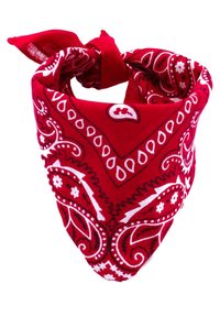 Bandana rouge en forme triangulaire ornée de motifs paisley blancs et de motifs floraux. Fabriquée en tissu doux avec un nœud noué en haut.