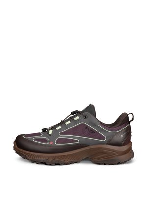 ECCO, ECCO RECEPTOR XP M GTX IF SHOE - Sneakers laag - mocha magnet mauve mocha