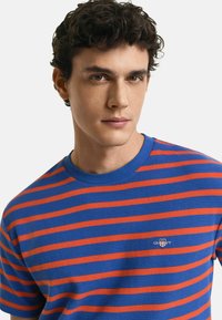 Gestreept T-shirt in blauw en oranje. Korte mouwen, geribbelde textuur, ronde halslijn, met een klein logo op de borst.