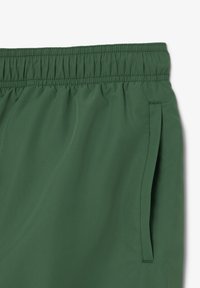 Shorts verts à taille élastique avec poches latérales, texture lisse et tissu léger. Aucuns motifs visibles ni d�étails métalliques.
