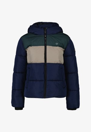 JERREL JR - Winter jacket - multi colour