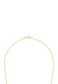 Delikat tunn guldkedja med en subtil snoddförsedd design och fjäderklämma på vit bakgrund.