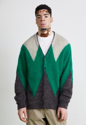 ABERDEEN KURTIGAN - Cardigan - green