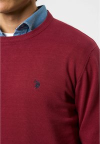 U.S. Polo Assn. ADAIR - Džemperis - tibetan red