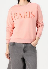 Sudadera rosa con "PARÍS" bordado en un tono de rosa más oscuro, con cuello redondo y puños y dobladillo acanalados. Combinada con pantalones de mezclilla gris.