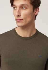 Maglione lavorato a maglia verde oliva con scollatura a girocollo e bordo a coste, caratterizzato da un piccolo accento di un cane ricamato in blu sul lato sinistro del petto.