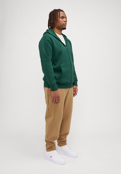 Polo Ralph Lauren Big & Tall DOUBLE-KNIT FULL-ZIP HOODIE - Jaka ar rāvējslēdzēju - vintage pine