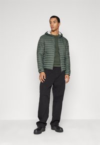 Colmar Originals MENS JACKET - Jakna ispunjena paperjem - botanical/ice