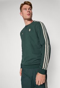 Sweatshirt verde com riscas creme nas mangas, decote redondo e logótipo bordado no peito. Material de algodão macio.